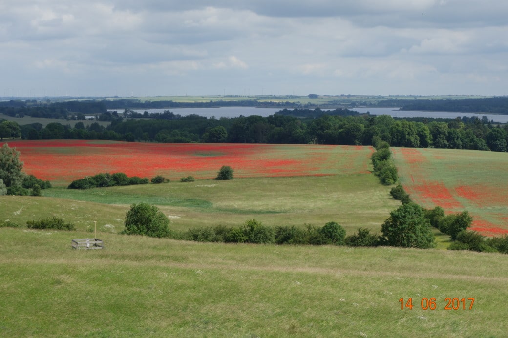 Picture: The photo shows a landscape with green meadows, on which partly red-flowering poppies stand. In the background forests and a lake are to be seen.