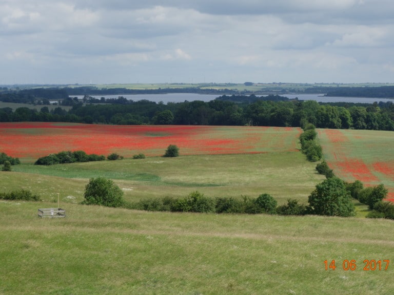 Abbildung: Das Foto zeigt eine Landschaft mit grünen Wiesen, auf denen zum Teil rotblühender Mohn steht. Im Hintergrund sind Wälder und ein See zu sehen.