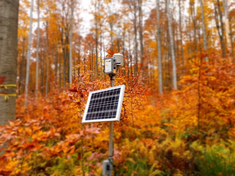 Abbildung: Das Foto zeigt in einem Herbstwald mit rotbraun verfärbtem Laub eine Klimamess-Station. Die Station besteht aus einer im Boden steckenden Metallstange, auf der oben ein Sensor der Marke Tritoker angebracht ist, sowie einem ungefähr DIN A 4 Blatt großen Solarmodul, das unterhalb des Sensors befestigt ist.