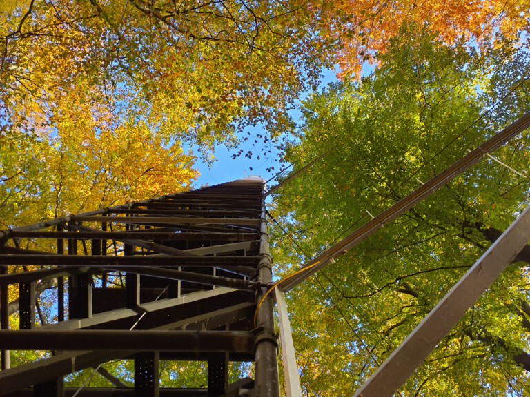 Abbildung: Das Foto zeigt von unten nach oben fotografiert einen Klima-Mess-Turm, der in einem herbstlichen Laubwald unter blauem Himmel steht.