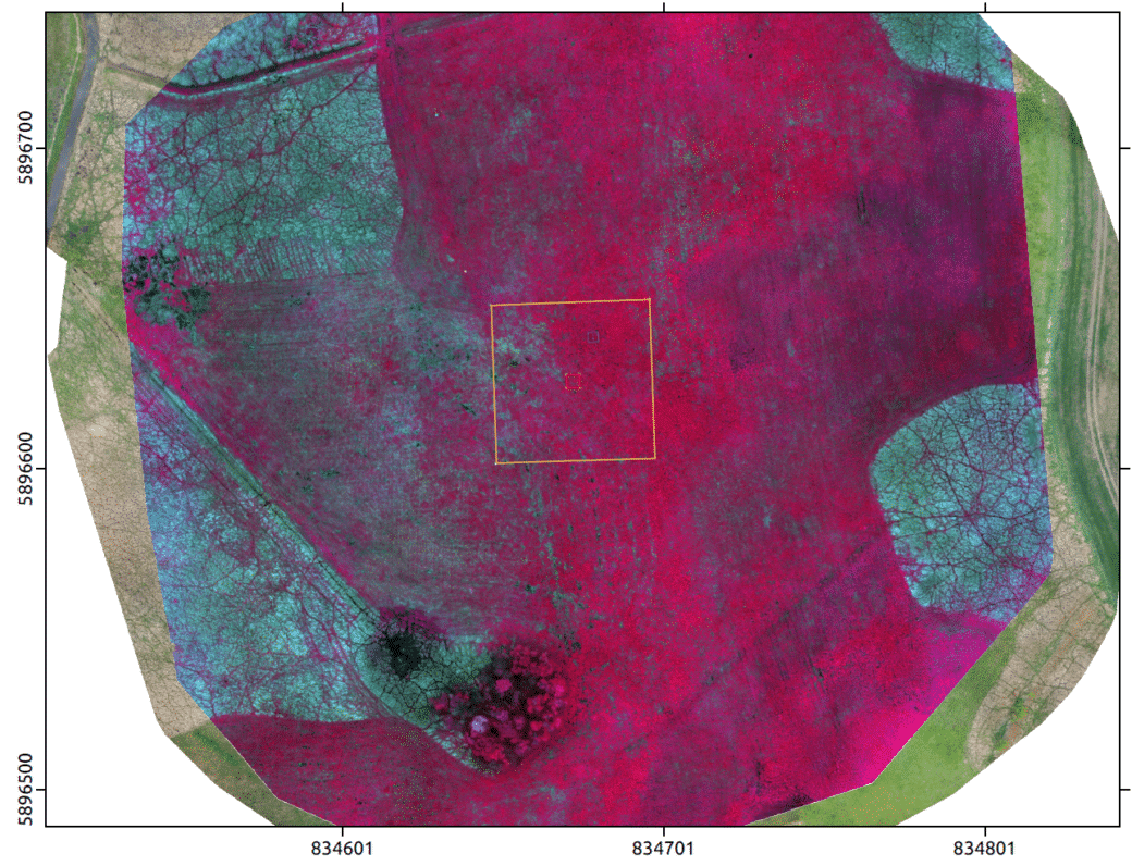 Abbildung: Die multi-spektrale Infrafrot-Luftaufnahme einer Drone zeigt in den Farben Rot, Violett und Türkis die Vegetationsmuster eines Grünland-Experimentier-Plots und seiner Umgebung.