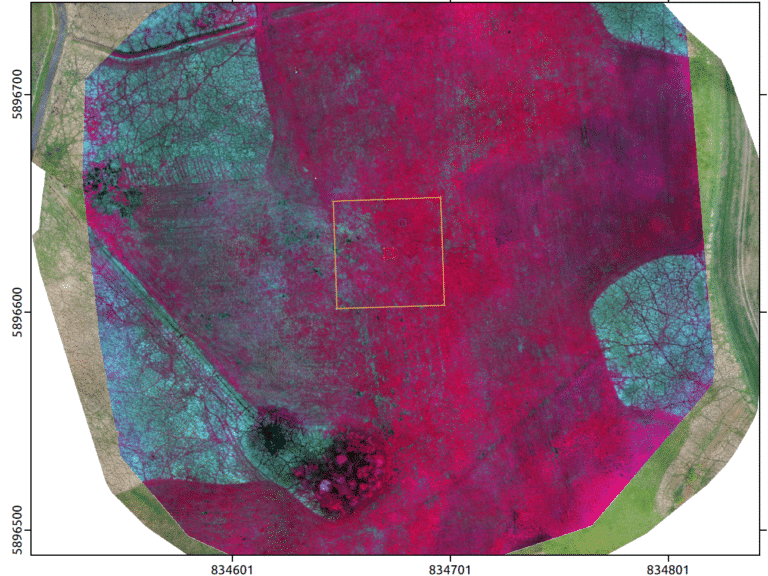 Picture: The multi-spectral infrafrot aerial image of a drone shows in red, purple and turquoise the vegetation patterns of a grassland experiment plot and its surroundings.