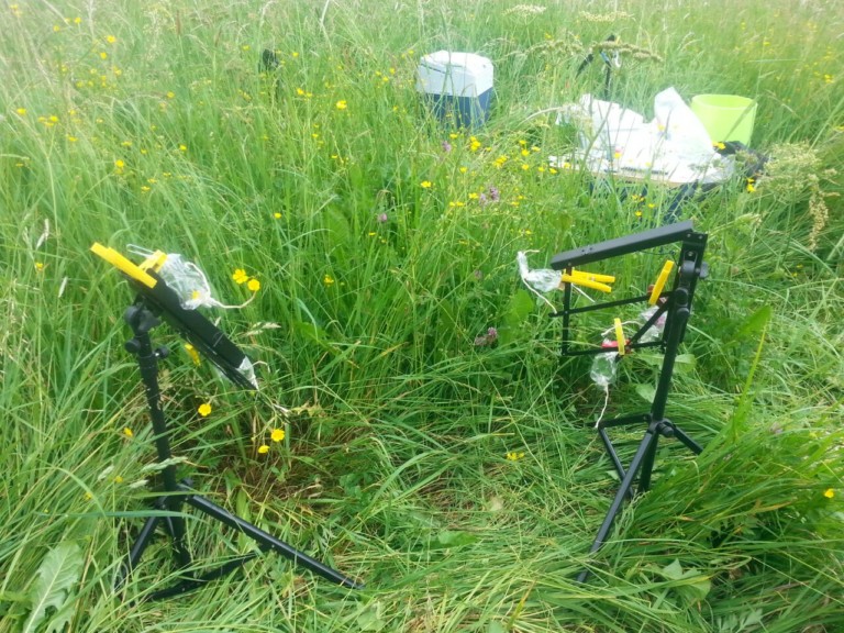 Picture: The photo shows two black music stands set up in an uncut meadow, which have been misappropriated for collecting the scents of flowers and leaves. The trays for the music sheets hang downwards. Roasting hoses made of transparent plastic foil are attached to the braces of the tray with yellow clothespins. Inside the hoses are short pieces of silicone tubing, to the surfaces of which the plant scent molecules adhere