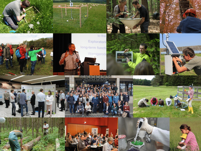 Picture: The collage contains fifteen photos with motifs from work in the field and in the laboratory as well as from events. Photo 1 shows a scientist kneeling on a high meadow, busy working on a wooden frame. Photo 2 shows a fenced climate measuring station in a meadow where sheep are grazing. Photo 3 shows a young female and a young male scientist in the forest handling a collection container. Photo 4 shows a helmeted scientist at the foot of a measuring tower in an autumnal forest. Photo 5 shows a group of people on an excursion in a meadow. Photo 6 shows a podium with a scientist during a lecture. Photo 7 shows a scientist showing a chart to a group of people listening during a field trip in the forest. Photo 8 shows a measurement technician working at a climate measurement station. Photo 9 shows people in front of information boards at an event. Photo ten shows the participants of the General Assembly of Members of the Biodiversity Exploratories in front of the Hotel Wernigrode. Photo eleven shows a group of scientists kneeling in a meadow doing field work. Photo twelve shows two men in the forest, one marking a felled tree trunk and the other noting something on a clipboard. Photo thirteen shows an audience listening in a conference room. Photo fourteen shows a right hand using an electronic pipette to pour a chemical to perform a polymerase chain reaction into a micro-reaction vessel, which is in a cooled rack to control the reaction. Photo fifteen shows a young woman squatting on a sunny meadow with a small child on her lap.