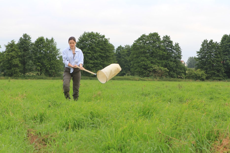 Picture: The photo shows a young female scientist walking across an unmown meadow wielding a landing net, with a row of trees in the background.
