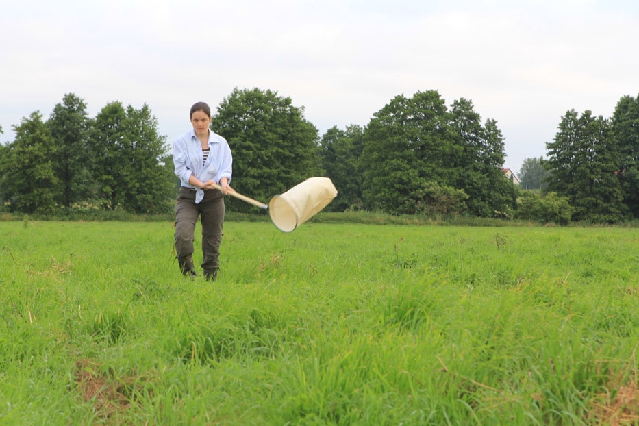 Land use, above-ground arthropod diversity and arthropod-affected ...