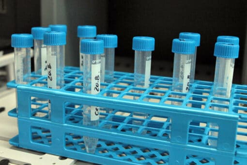 Figure: The photo shows a blue plastic stand in a laboratory containing twelve test tubes with blue lids.