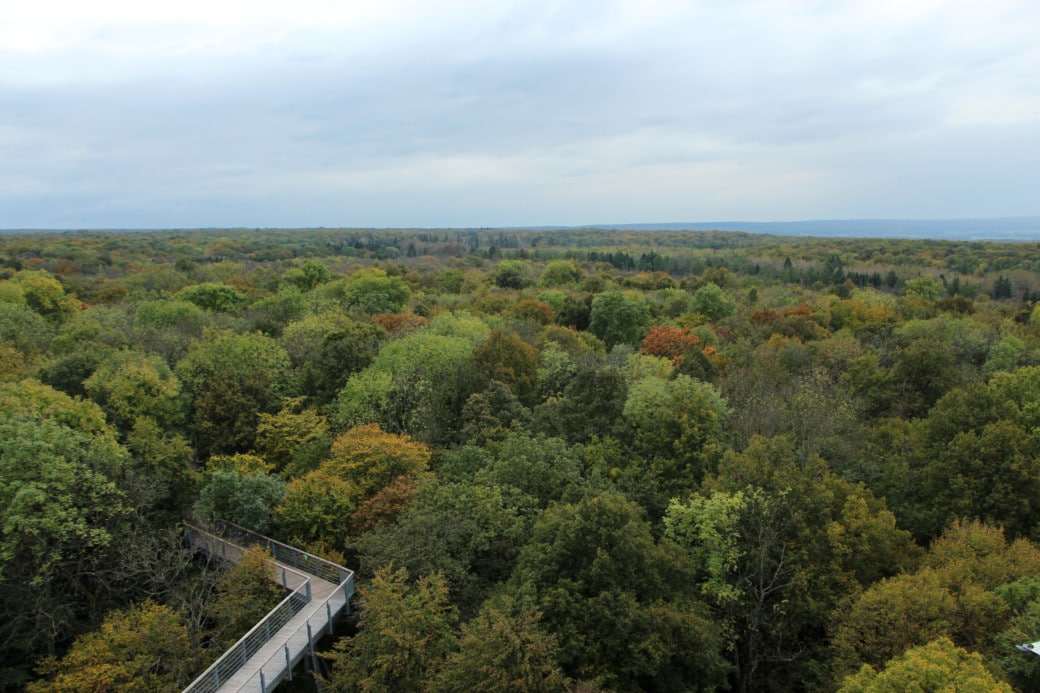 Abbildung: Das Foto zeigt einen Panorama-Blick über die Baumkronen des Walds im Nationalpark Hainich. Unten rechts ist ein Teil eines auf Stelzen errichteten Baumwipfel-Pfades zu sehen.