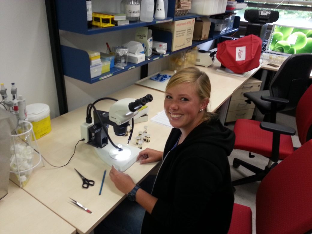 Picture: The photograph shows a young smiling scientist in a workroom at a row of tables, turned around to face the camera. In front of the scientist is a microscope. To the left of it are a pair of scissors, a pencil and a pair of tweezers. To the right of it are seven small containers, presumably with examination material in them. Behind the row of tables on the wall is a large long shelf filled with work materials. To the right of the picture in the background are a window, an active computer monitor and two office chairs.