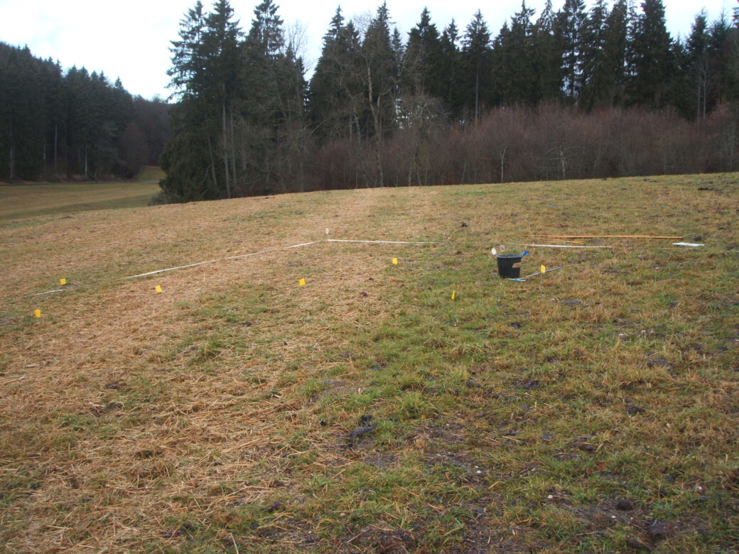 Abbildung: Das Foto zeigt eine Wiese im Winter, auf der mit weißem Band ein Areal als Plot markiert ist. Im Hintergrund sind Nadelbäume zu sehen. In dem Plot sind verschiedene Stellen mit gelben Fähnchen markiert. Neben einem schwarzen Kunststoff-Eimer liegt ein Erdbohrstock zur Entnahme von Bodenproben.