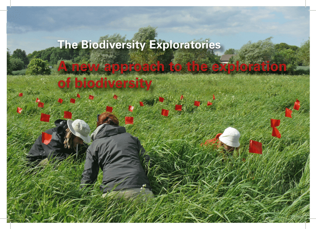 Picture: The photo shows the English title page of the brochure "The Biodiversity Exploratories - a new approach to the exploration of biodiversity".