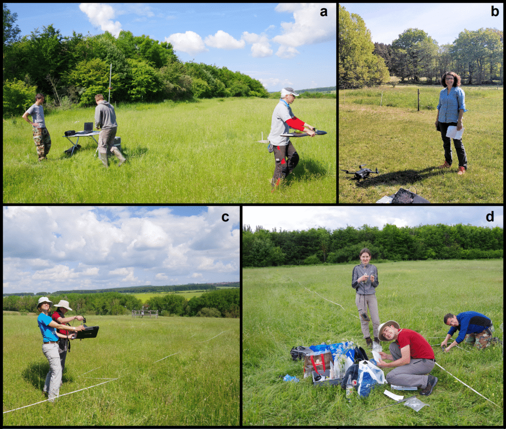 Picture: The collage contains four photos of the research group's field work. Photo 1 shows three young scientists on an unmown meadow in the sunshine. On the left of the picture, two of the men are standing at a folding table on which a laptop is placed. To the right of the picture, the third man is walking, carrying a fixed-wing drone. A row of bushes and trees stretches along the left edge of the meadow. A few clouds can be seen in the blue sky. Photo 2 shows a young female scientist smiling into the camera on a mown meadow. In front of the woman is a quadrocopter on the ground. Tall deciduous trees can be seen in the background. Photo 3 shows an unmown meadow with an area marked with white tape. In the foreground are the project leader Professor Anja Linstädter and the PhD student Florian Männer, both wearing hats to protect them from the sun. Ms Linstädter is holding a black flat box in her hands at waist level. In the box is a white reference plate over which Mr Männer is holding a field spectrometer to calibrate it. In the background of the picture is a fenced climate measurement station and a row of bushes and trees. Meadows and forests can be seen on the horizon. Photo 4 shows a young female scientist and two young male scientists on an unmown meadow, all smiling at the camera. In front of the standing woman, one of the men is squatting and bagging something. To his left are several backpacks, a carrier bag, a box and a plastic bag. The second man kneels to the right of the picture, bent over with his hands in the grass. A white marking tape runs through the meadow. At the far end of the meadow, a row of trees and bushes can be seen.