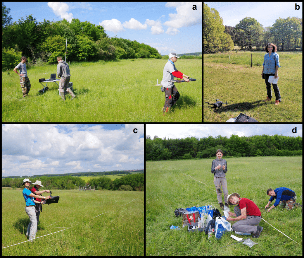 Abbildung: Die Collage enthält vier Fotos zur Feldarbeit der Forschungsgruppe. Foto 1 zeigt drei junge Wissenschaftler auf einer ungemähten Wiese im Sonnenschein. Links im Bild stehen zwei der Männer an einem Klapptisch, auf dem ein Laptop aufgestellt ist. Rechts im Bild läuft der dritte Mann, der eine Starrflügel-Drohne trägt. Am linken Rand der Wiese zieht sich eine Reihe von Büschen und Bäumen entlang. Am blauen Himmel sind einzelne Wolken zu sehen. Foto 2 zeigt auf einer gemähten Wiese eine junge Wissenschaftlerin, die in die Kamera lächelt. Vor der Frau steht ein Quadrocopter auf dem Boden. Im Hintergrund sind hohe Laub-Bäume zu sehen. Foto 3 zeigt eine ungemähte Wiese, auf der mit weißem Band ein Bereich markiert ist. Im Vordergrund stehen die Projektleiterin Professor Anja Linstädter und der Doktorand Florian Männer, beide mit Hüten zum Schutz vor der Sonne. Frau Linstädter hält auf Höhe der Taille eine schwarze flache Box in ihren Händen. In der Box befindet sich eine Weißreferenz-Platte, über die Herr Männer ein Feld-Spektrometer hält, um es zu kalibrieren. Im Hintergrund des Bilds befinden sich eine umzäunte Klimamess-Station und eine Reihe von Büschen und Bäumen. Am Horizont sind Wiesen und Wälder zu sehen. Foto 4 zeigt auf einer ungemähten Wiese eine junge Wissenschaftlerin und zwei junge Wissenschaftler, die alle in die Kamera lächeln. Vor der stehenden Frau hockt einer der Männer und tütet etwas ein. Links von ihm liegen mehrere Rucksäcke, eine Tragetasche, eine Kiste und eine Plastiktüte. Der zweite Mann kniet rechts im Bild vornübergebeugt mit den Händen im Gras. Durch die Wiese zieht sich ein weißes Markierungsband. Am hinteren Ende der Wiese ist eine Reihe von Bäumen und Büschen zu sehen.