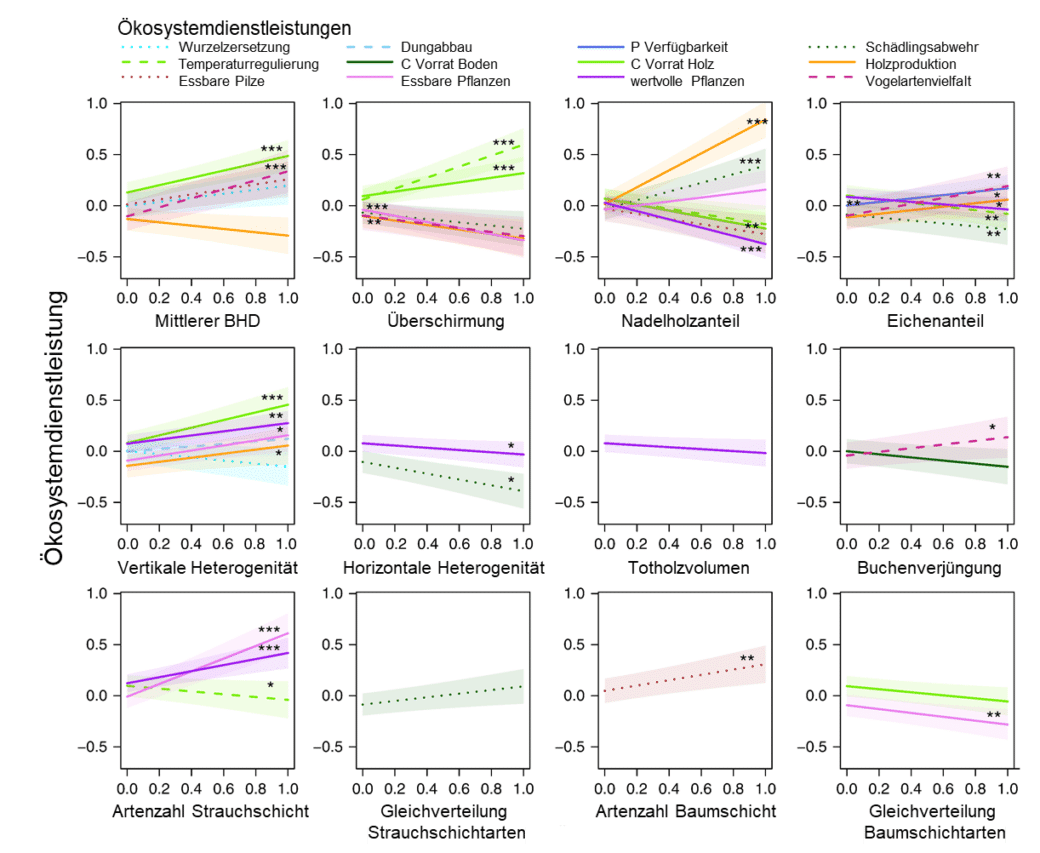 Abbildung: Das Schaubild zeigt zwölf Diagramme zum Einfluss von Bestandeseigenschaften auf  Ökosystemdienstleistungen. Die grafischen Elemente in den Diagrammen repräsentieren folgende Ökosystemdienstleistungen: Wurzelzersetzung, Dung-Abbau, Phosphor-Verfügbarkeit, Schädlingsabwehr, Temperaturregulierung, Kohlenstoff-Vorrat im Boden, Kohlenstoff-Vorrat im Holz, Holzproduktion, essbare Pilze, essbare Pflanzen, wertvolle Pflanzen, Vogelartenvielfalt. Die Diagramme tragen folgende Titel: Mittlerer Brusthöhendurchmesser, Überschirmung, Nadelholzanteil, Eichenanteil, vertikale Heterogenität, horizontale Heterogenität, Totholzvolumen, Buchenverjüngung, Artenzahl Strauchschicht, Gleichverteilung Strauchschichtarten, Artenzahl Baumschicht, Gleichverteilung Baumschichtarten.