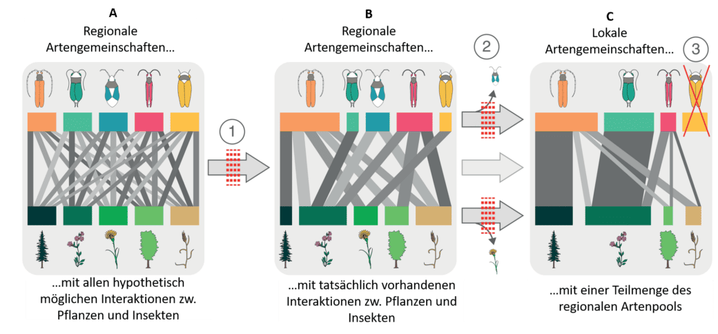 Abbildung 1