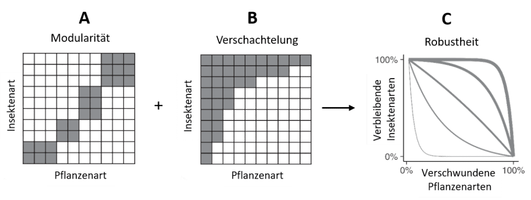 Abbildung 2