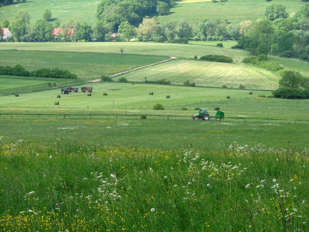 Abbildung: Das Foto zeigt von einem Hügel herab eine sommerliche Wiesenlandschaft. Zwischen den Wiesen sind Sträucher und im Hintergrund auch Baumreihen und Wohngebäude zu sehen.