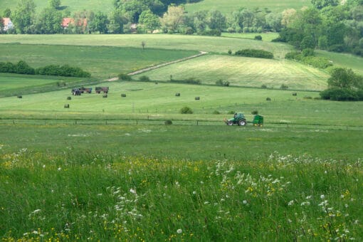 Abbildung: Das Foto zeigt von einem Hügel herab eine sommerliche Wiesenlandschaft. Zwischen den Wiesen sind Sträucher und im Hintergrund auch Baumreihen und Wohngebäude zu sehen.