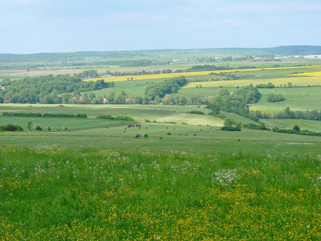 Abbildung: Das Foto zeigt von einem Hügel herab eine grüne Landschaft aus Wiesen, kleinen Wäldern und einigen Gebäuden dazwischen. Im Hintergrund sind gelbe Rapsfelder zu sehen.