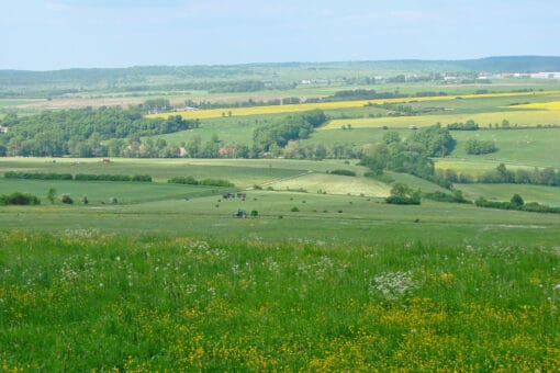 Abbildung: Das Foto zeigt von einem Hügel herab eine grüne Landschaft aus Wiesen, kleinen Wäldern und einigen Gebäuden dazwischen. Im Hintergrund sind gelbe Rapsfelder zu sehen.