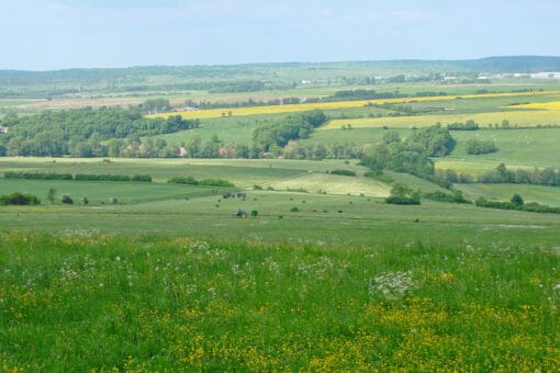 Illustration: The photo shows from a hill down a green landscape of meadows, small forests and some buildings in between. In the background yellow rape fields can be seen.