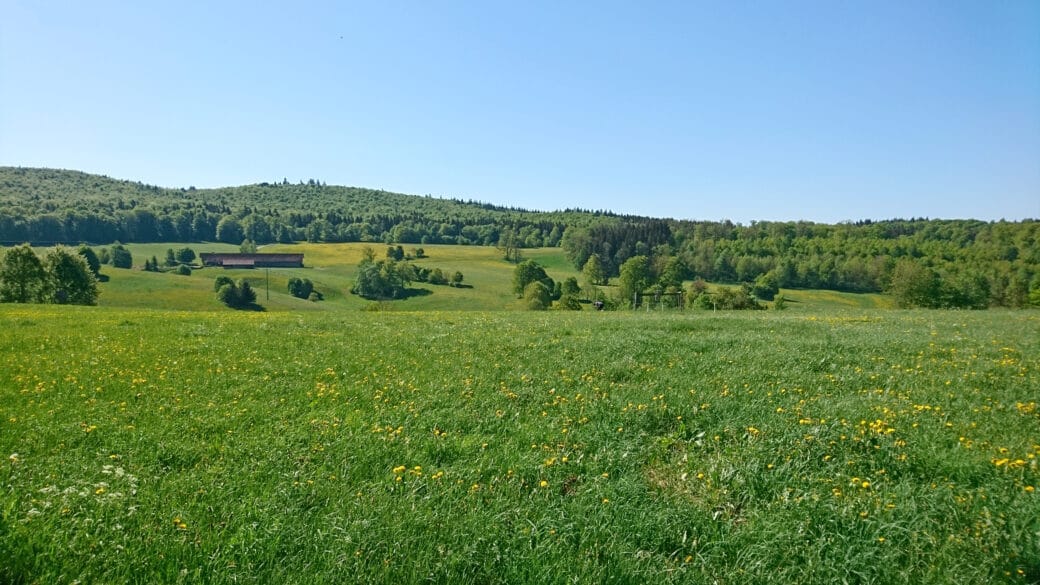Figure: The photo shows the hilly forest and meadow landscape of the Swabian Alb in spring under a blue sky