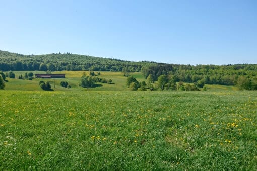 Abbildung: Das Foto zeigt im Frühling unter blauem Himmel die hügelige Wald- und Wiesenlandschaft der Schwäbischen Alb.