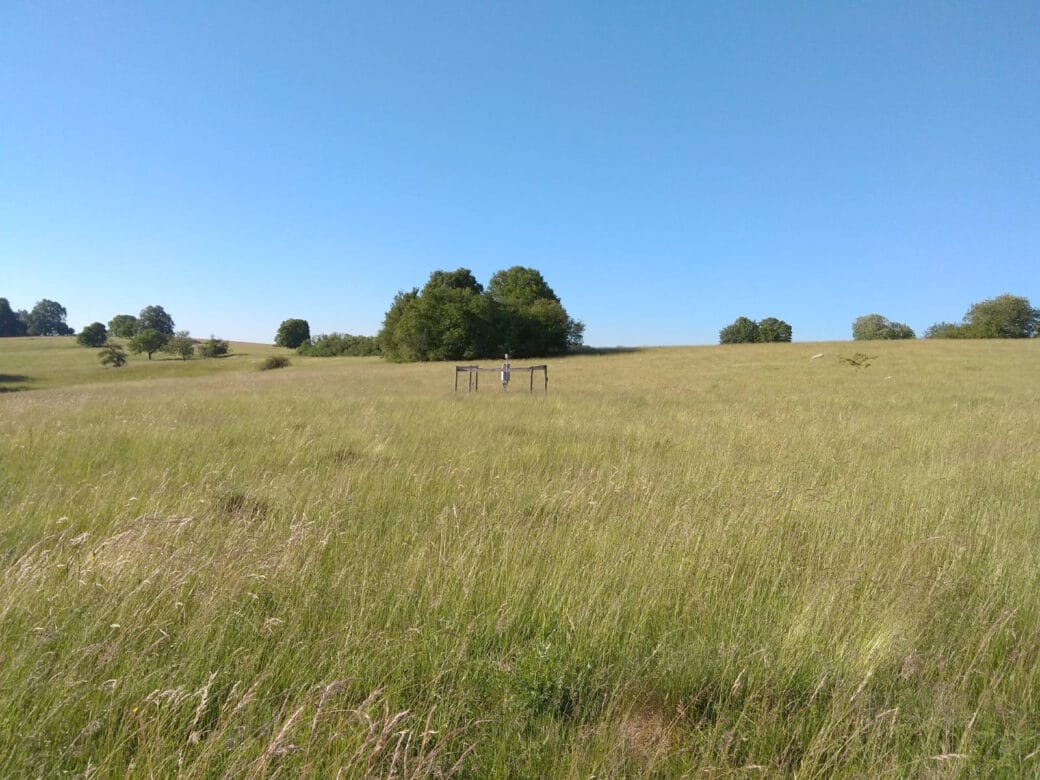 Abbildung: Das Foto zeigt unter blauem Himmel eine große ungemähte Wiese, die mit braunem und grünem Gras bewachsen ist. Auf der Wiese steht eine Klima-Mess-Station. Im Hintergrund sind einzelne Bäume und Sträucher zu sehen.