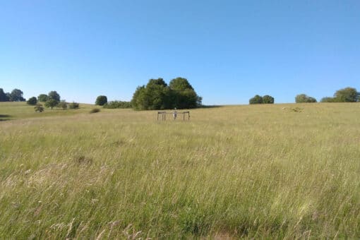 Abbildung: Das Foto zeigt unter blauem Himmel eine große ungemähte Wiese, die mit braunem und grünem Gras bewachsen ist. Auf der Wiese steht eine Klima-Mess-Station. Im Hintergrund sind einzelne Bäume und Sträucher zu sehen.