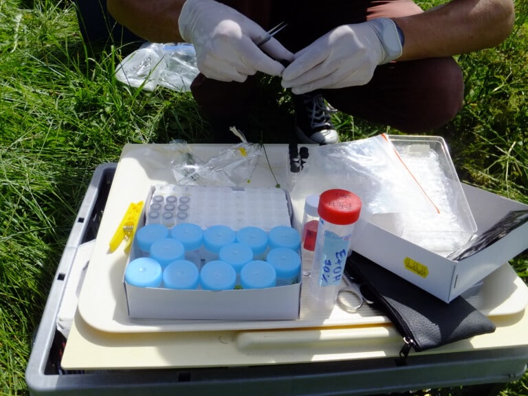 Picture: The photo shows a box on a meadow with different containers for sampling scents of flowers and leaves by means of silicone tubes. Behind the box kneels a scientist wearing laboratory gloves and holding tweezers and a sample container in his hands.