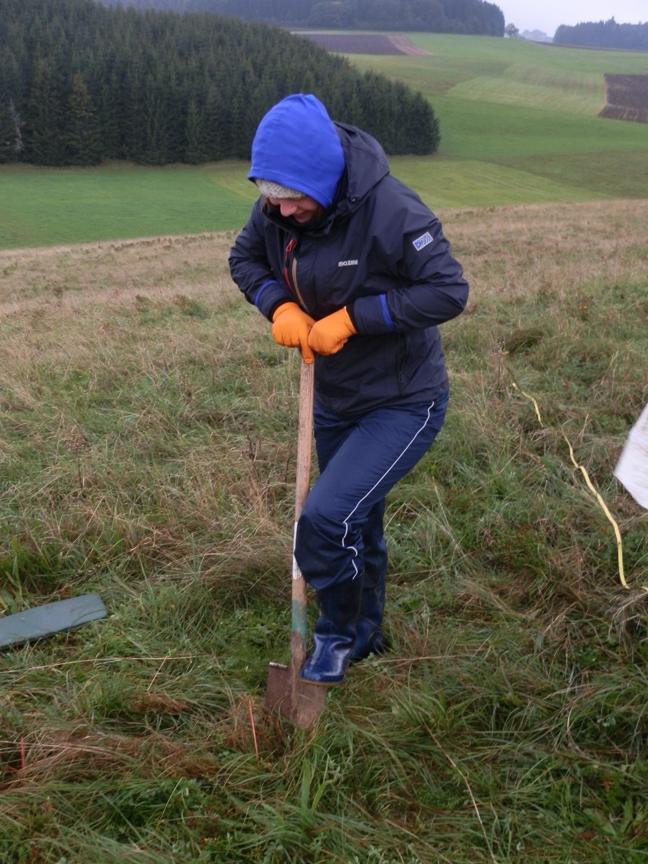 Picture: The photo shows a young, warmly dressed female scientist before excavating phytometers. The woman is pressing a spade into the soil with both hands and has additionally placed her left foot on the shovel. The excavation is taking place in an unmown meadow on a hill. In the background, a landscape of green-covered fields and coniferous forests can be seen.