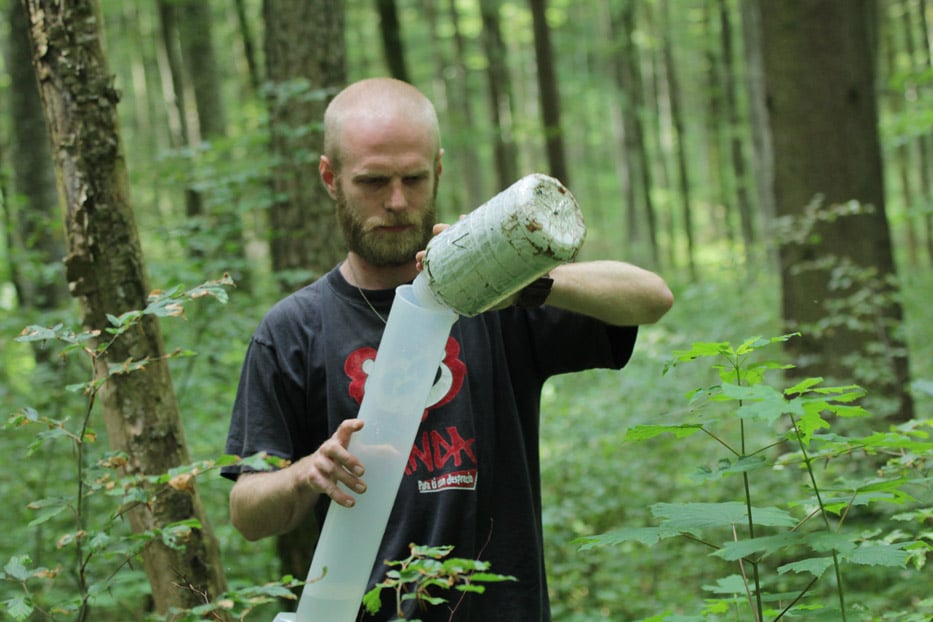 Abbildung: Das Foto zeigt in einem sommerlichen Wald den Doktoranden Martin Schwarz beim Leeren des Inhalts eines Niederschlagsammlers in einen Messkolben. Der Messkolben ist ein transparenter weißer Kunststoff-Behälter von geschätzt zehn Zentimetern Durchmesser und mindestens fünfzig Zentimetern Länge. Der Niederschlagsammler ist eine weiße Flasche mit geschätzt fünfundzwanzig bis dreißig Zentimetern Länge und circa fünfzehn Zentimetern Durchmesser.