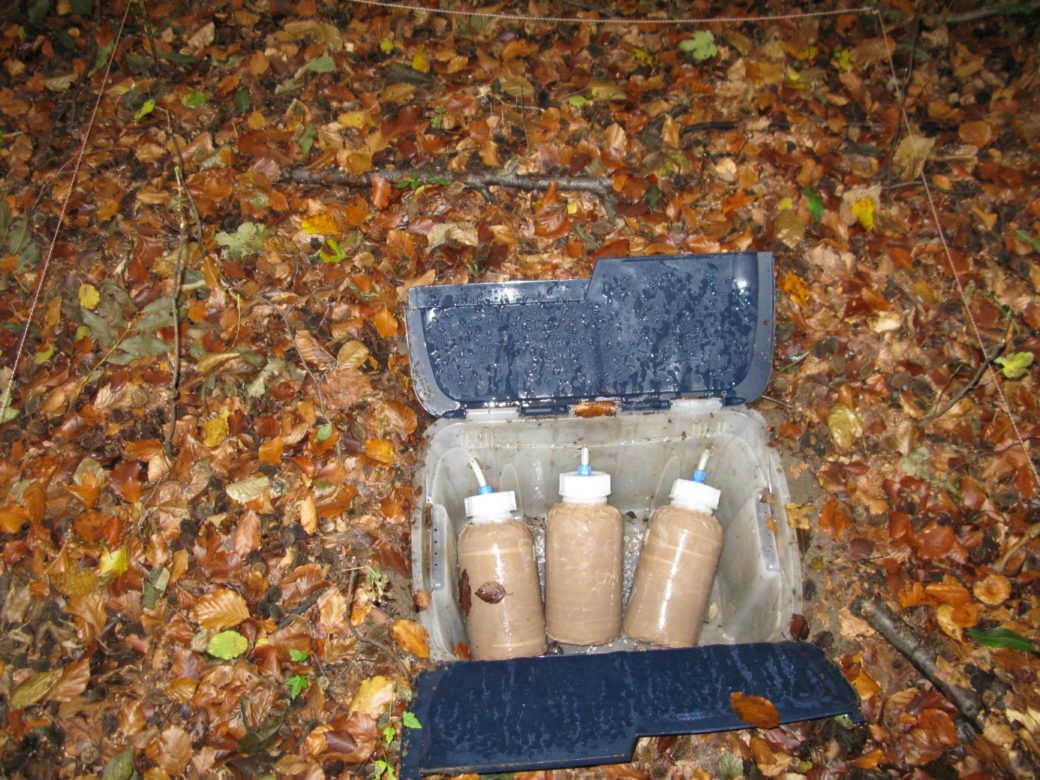 Picture: The photo shows an opened plastic box buried in the forest floor. Three plastic bottles wrapped in brown tape lie in the box. Short tubes protrude from the screw caps of the bottles. The installation has the function of a lysimeter.