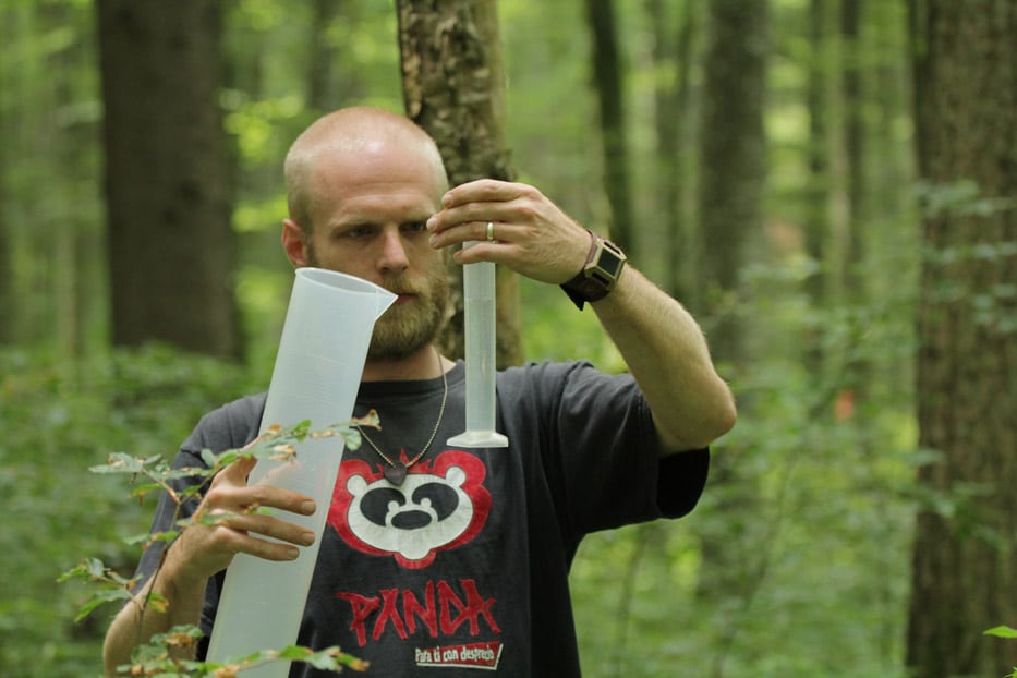 Abbildung: Das Foto zeigt in einem sommerlichen Wald den Doktoranden Martin Schwarz, der die Flüssigkeitsmenge in einem schmalen Messbecher kontrolliert, den er in seiner linken Hand hält. In der rechten Hand hält er einen Messkolben.