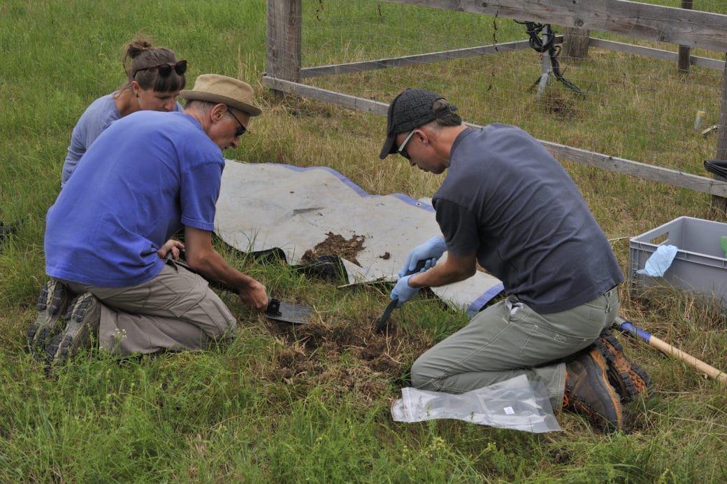 Picture: The photo shows two scientists kneeling in the grass on a meadow next to a fenced climate measuring station, busy with excavation work. They are using a small spade and a hand shovel. In front of the scientist on the right of the picture lies a transparent empty bag on the grass. Behind the men lies a grey tarpaulin about two metres long, on which there is some excavated earth. To the left of the tarpaulin kneels a female scientist watching the men