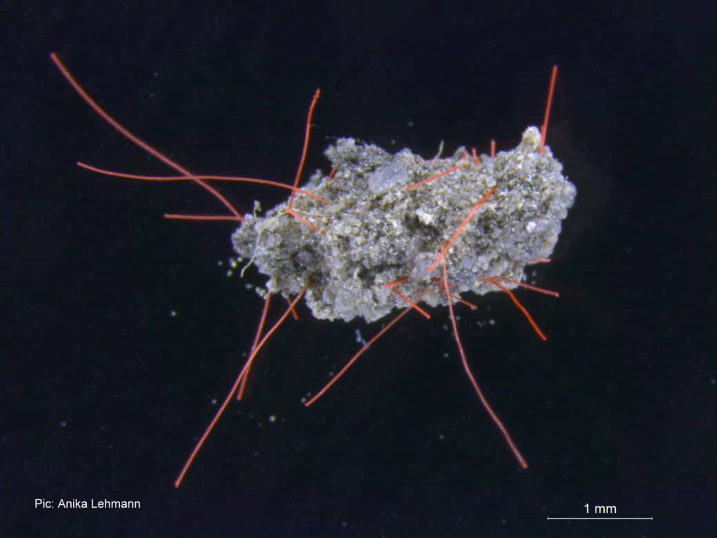 Picture: The macro photo shows a piece of grey-brown soil aggregate with artificially added long red filamentous microplastic fibres in front of a black background.