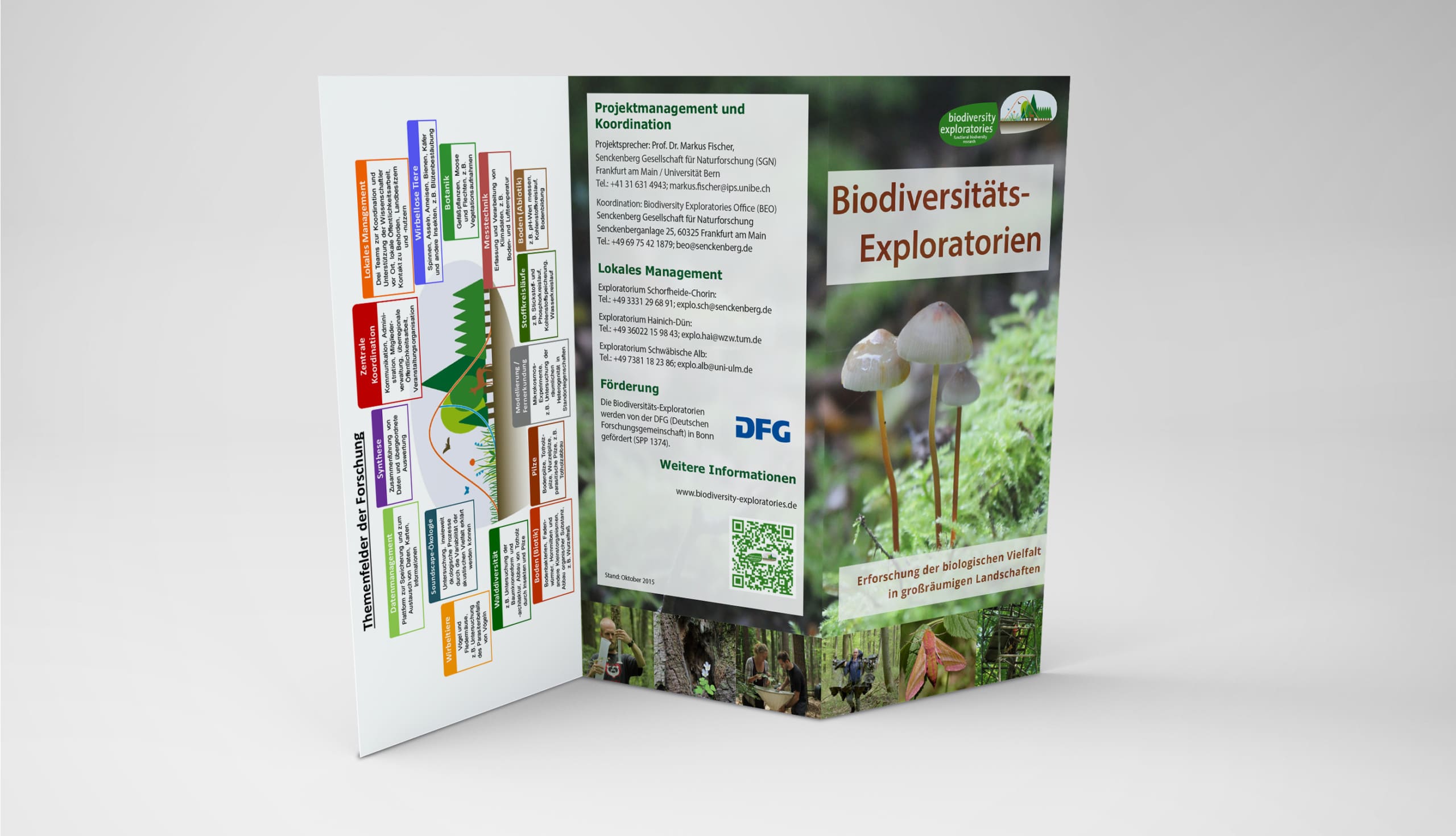 Abbildung: Das Foto zeigt einen sechsseitigen Flyer der Biodiveritäts-Exploratorien im Lang-DIN-Format.
