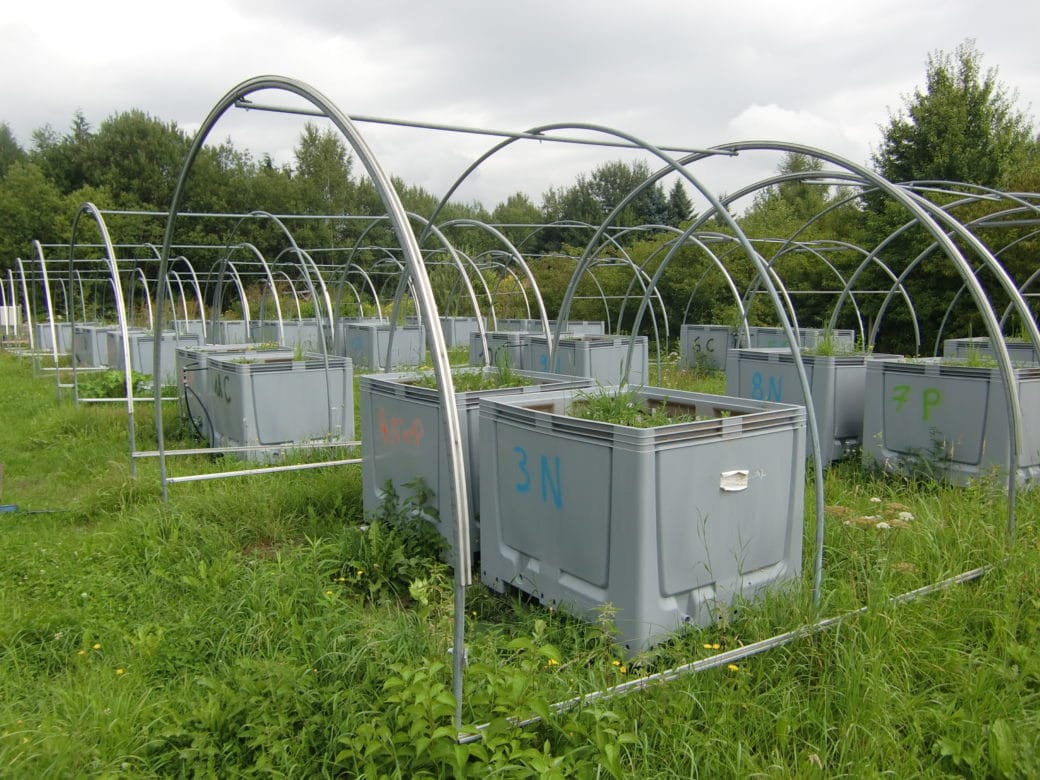 Picture: The photograph shows an unmown meadow containing numerous large, grey, rectangular, open-topped containers for mesocosms containing grassland plants. The containers are under open semi-circular tunnel-shaped metal poles that can presumably be covered with foil. Shrubs and deciduous trees can be seen in the background.