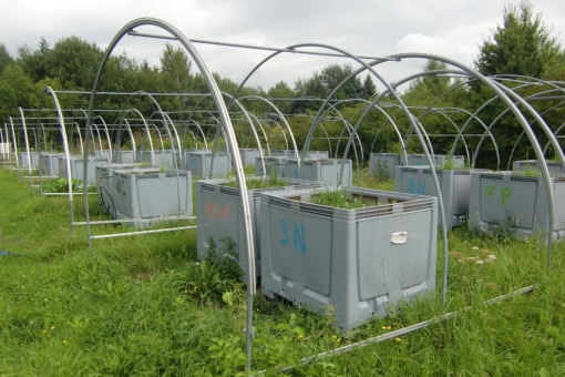 Picture: The photograph shows an unmown meadow containing numerous large, grey, rectangular, open-topped containers for mesocosms containing grassland plants. The containers are under open semi-circular tunnel-shaped metal poles that can presumably be covered with foil. Shrubs and deciduous trees can be seen in the background.