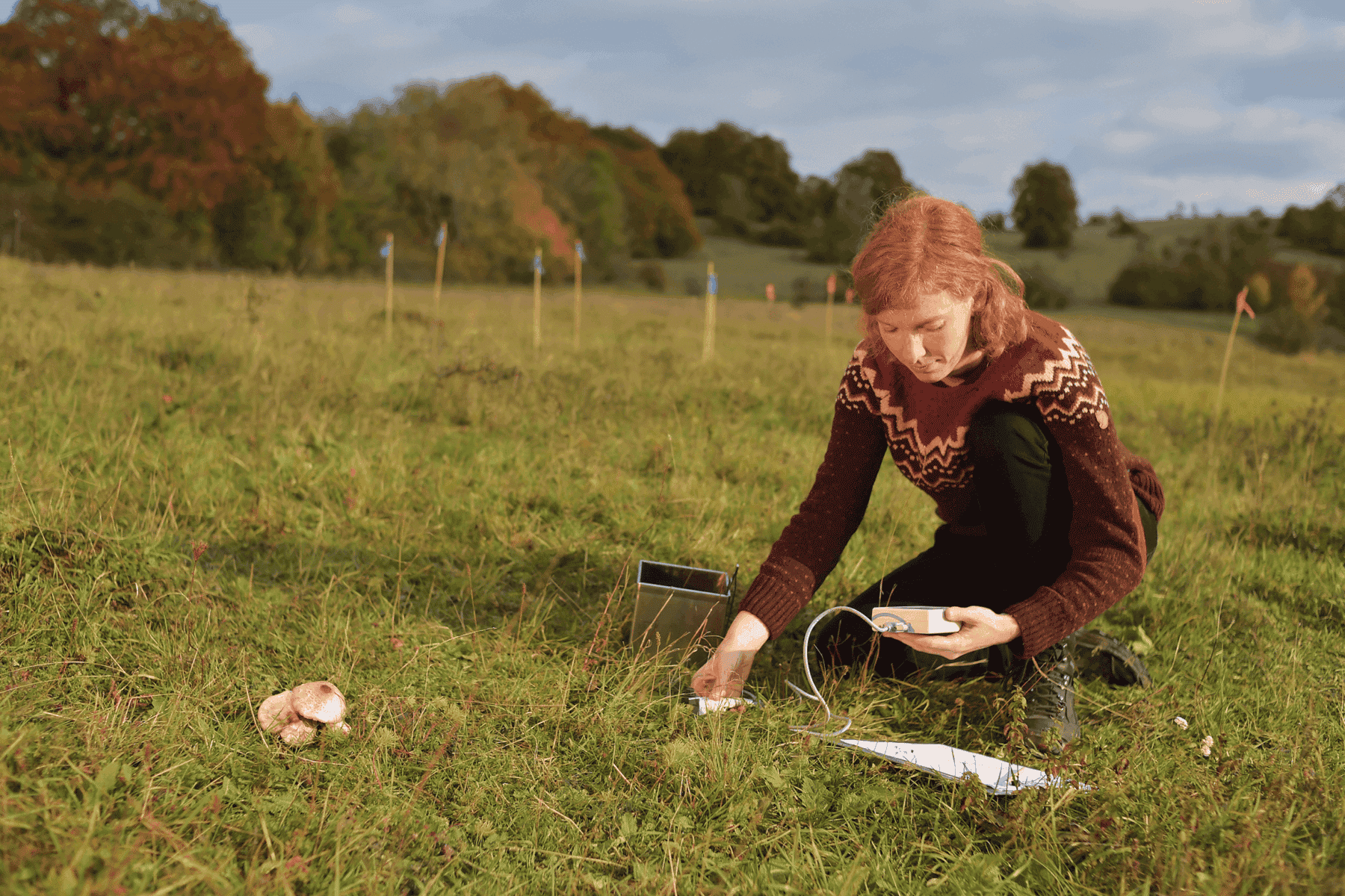 Picture: The photograph shows a young female scientist in a meadow in autumn, kneeling with one leg on the ground and taking a measurement. With her right hand she holds a small white sensor device to the ground. In her left hand she holds a rectangular white device from which she is reading something. In front of the woman lies a clipboard with a document in the grass. Next to her is a small square metal container. To her left grows a small group of mushrooms. Behind her are several marker sticks with small red and blue pennants stuck in the meadow soil. In the background is a hilly meadow landscape with groups of trees in autumn leaves.