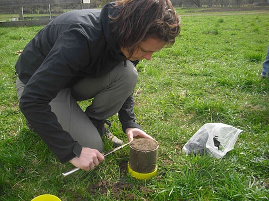 Abbildung: Das Foto zeigt auf einer sonnenbeschienenen gemähten Wiese eine junge knieende Wissenschaftlerin, vor der eine Bodenprobe in einem klaren transparenten Acrylglas-Zylinder auf dem Gras steht. Mit einem Messer schneidet die Frau die Bodenprobe an ihrer Oberfläche auf die Größe des Probenbehälters zurecht.