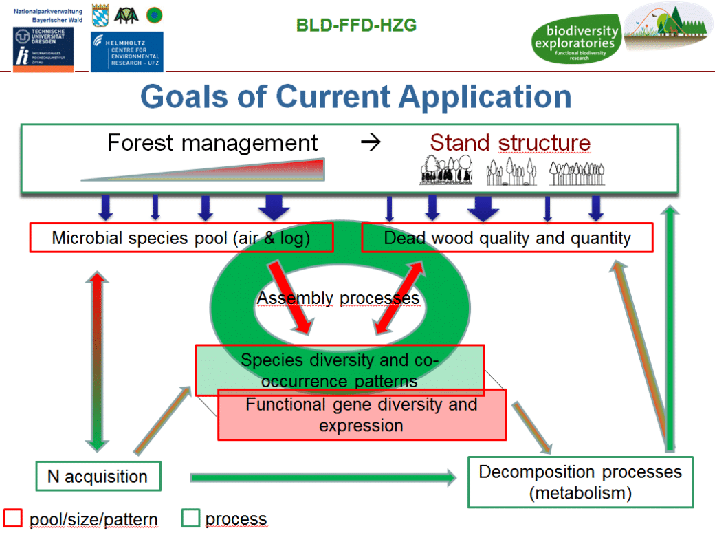 Picture: The diagram shows how different degrees of forest management change the species pool.