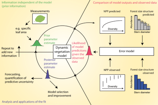 Picture: The diagram shows the Bayesian modelling cycle for a process-based vegetation model, slightly modified from Hartig et al Two Thousand Twelve.