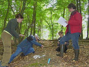 Picture: The photograph shows a piece of forest floor in a summery shady forest in the middle of the picture, which has been cleared of wilted leaves. Next to the crust are two female scientists and two male scientists. One of the men is standing in the front right of the picture, holding a document in his left hand. Behind him, one of the women is kneeling and watching the work of the second man, who is kneeling on the ground on the left of the picture and taking a sample of the crust with his right hand. In front of him on the left of the picture is the second woman, who is also watching him.