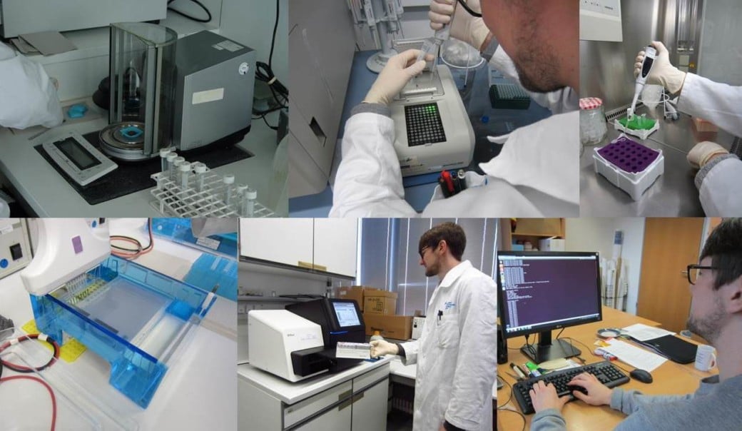 Picture: The collage contains six photographs of steps in molecular analyses in a laboratory, performed by a scientist. Photo 1 shows a sample standardization device. Photo 2 shows the scientist working on a polymerase chain reaction device. Photo 3 shows the scientist using an electronic pipette to fill a sample into a micro-reaction tube. Photo 4 shows an Illumina MiSeq sequencer. Photo 5 shows the scientist working on a bioinformatics quality control device. Photo 6 shows the scientist at a desk in front of a computer making inputs for assignment.