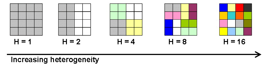 Abbildung: Die Grafik mit dem Titel „Zunehmende Heterogenität“ zeigt das Schema des Kern-Experiments. Dargestellt sind die sechzehn Segmente eines Quadrats, die sich über 5 Stadien hinweg von einfarbig grau zu sechzehn unterschiedlichen Farben einfärben.
