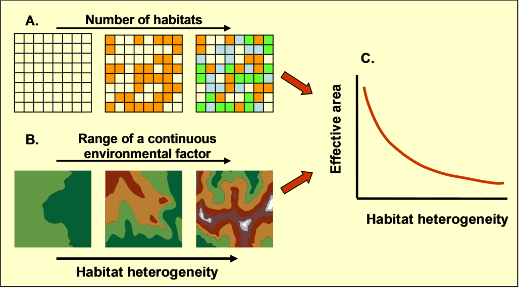 Abbildung: Die Grafik zeigt Informationen zum Kompromiss zwischen Fläche und Habitat-Heterogenität.