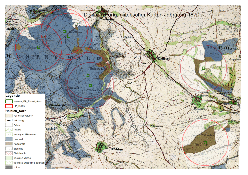 Picture: The drawing shows a historical map of the Hainich from the year eighteen hundred and seventy.