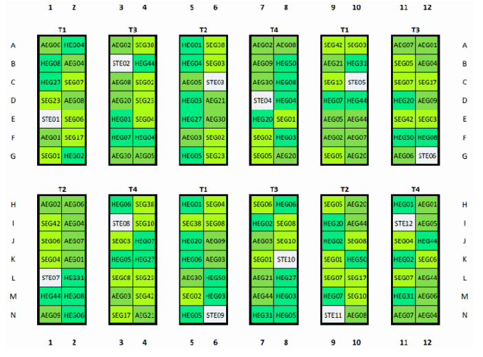 Abbildung: Die Grafik zeigt den schematischen Aufbau des Gartens. Zu sehen sind Felder in 2 mal 6 Reihen mit insgesamt einhundertsechsundachtzig Sub-Plots. Die Plots sind farblich in unterschiedlichen Grüntönen sowie numerisch gekennzeichnet.