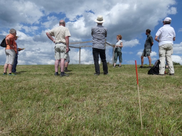 Abbildung: Das Foto zeigt eine Szene bei der Exkursion eines Lokalen-Management-Teams. Auf einer Wiese unter blauem Himmel mit Wolken stehen sieben Männer und hören den Ausführungen einer Wissenschaftlerin zu.